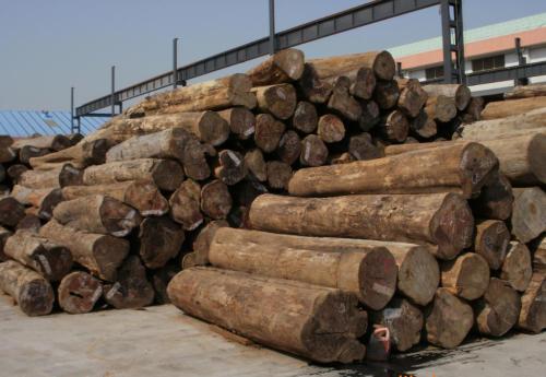 木材市场受进口木材国家政策影响大，将迎来挑战与机遇